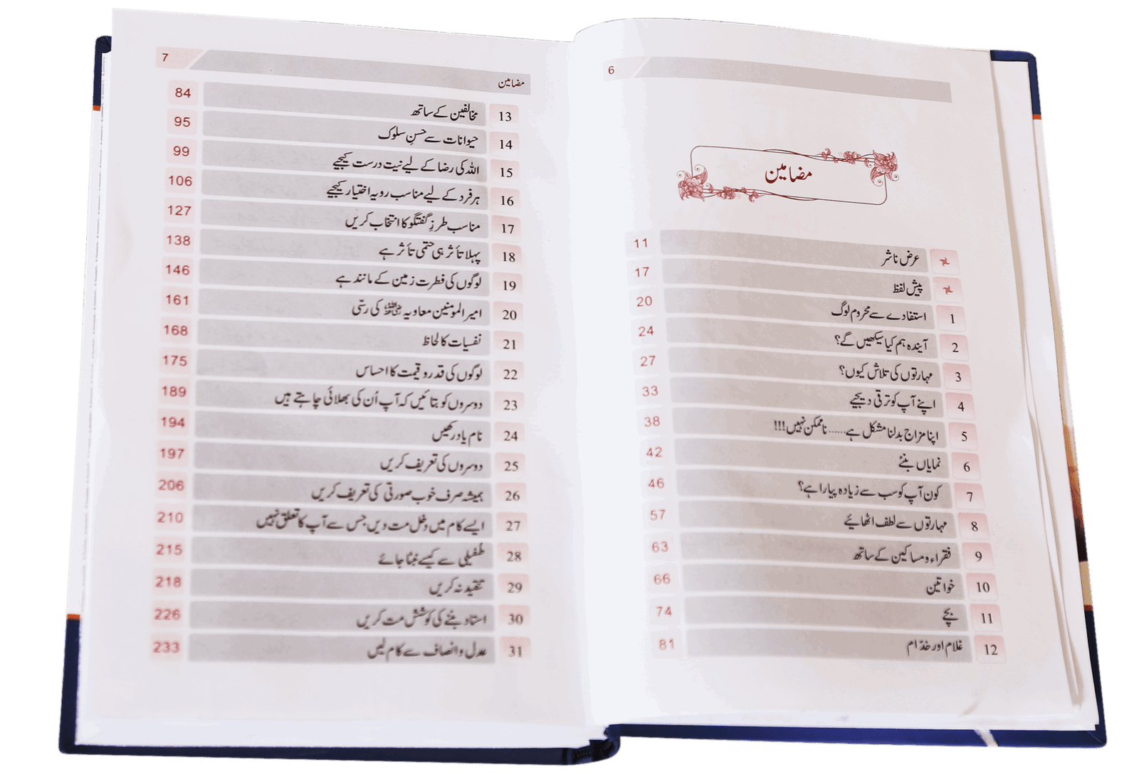 Zindagi Se Lutf Uthaye زندگی سے لطف اٹهائیے