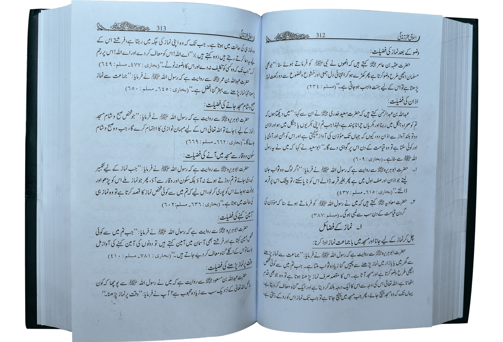Islami Tarz E Zindgi (Jild 2)اسلامی طرزِزندگی (جلد دوم)