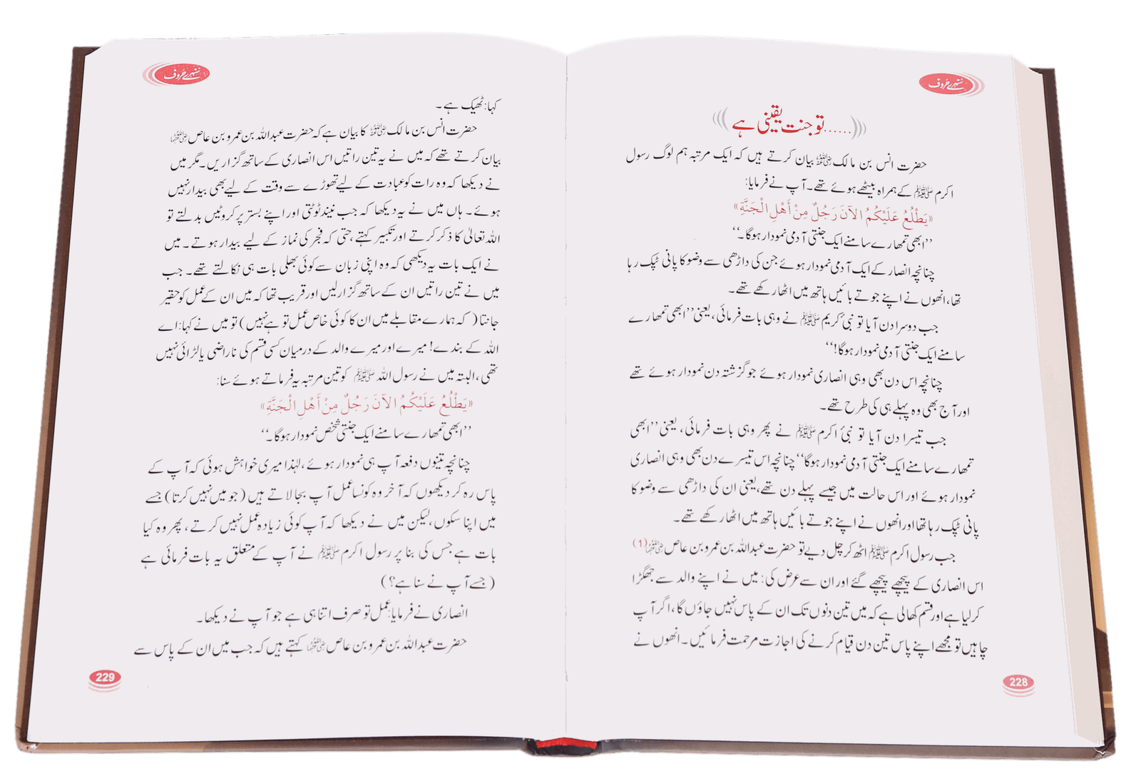 Sunehray Haroof سنہرے حروف