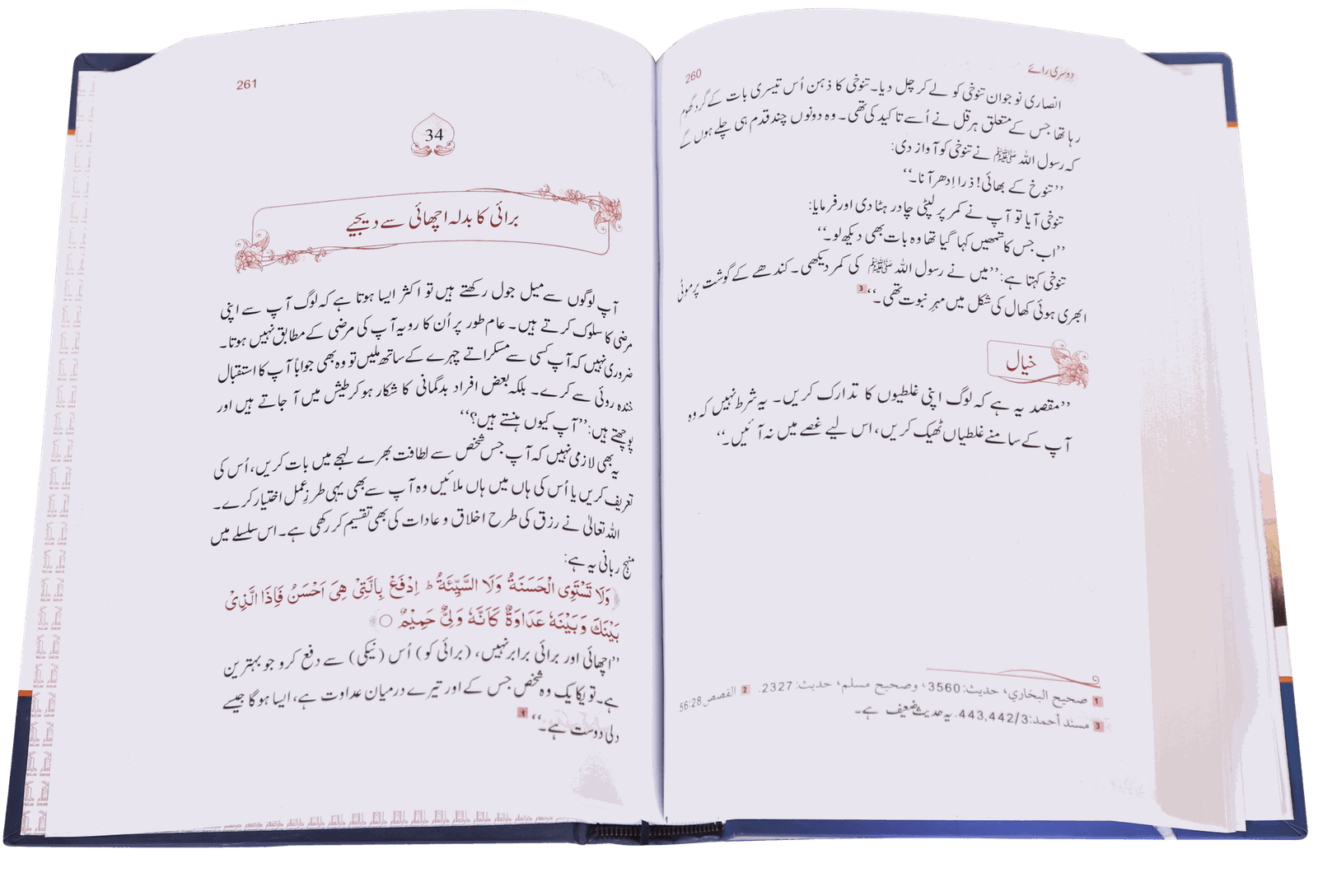 Zindagi Se Lutf Uthaye زندگی سے لطف اٹهائیے