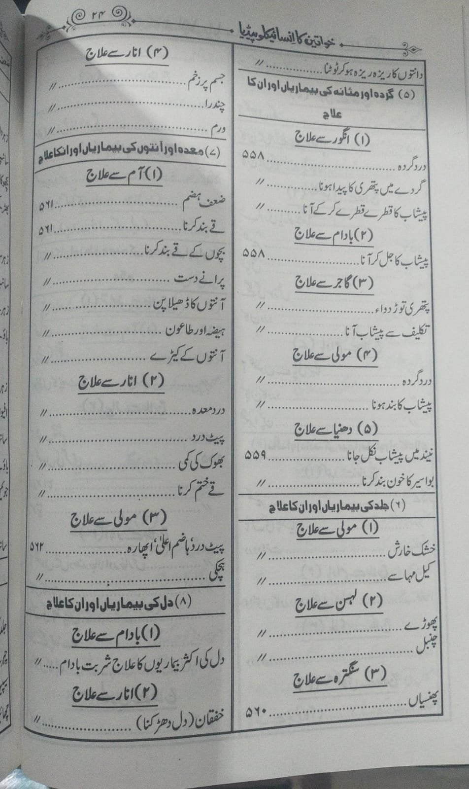 Khawateen Ka Encyclopediaخواتین کا انسائیکلو پیڈیا