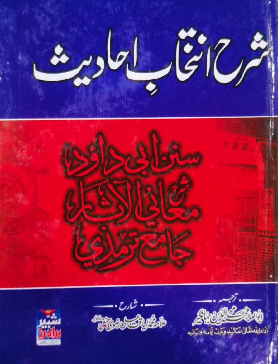 Tanzeem Ul Madaris Almia Sal e Doem (Bannat) <br> تنظیم المدارس (عالمیہ سالِ دوم بنات) - Image 4