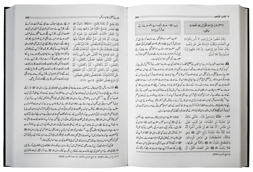 Hidayat Al Qari Sharh Sahih Al Bukhari (10 Vol. Complete Set)<br>ہدایۃ القاری شرح صحیح البخاری - 10 جلدیں سیٹ - Image 2